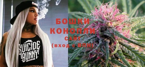 стаф Горнозаводск