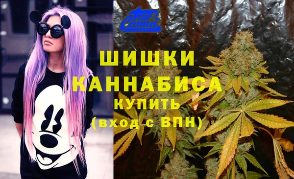 стаф Горнозаводск
