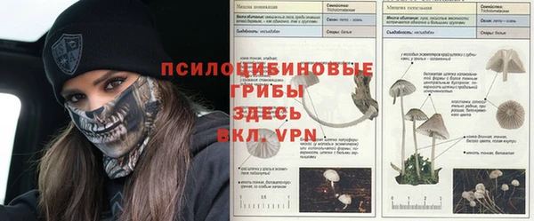 наркотики Вяземский