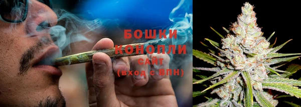 стаф Горнозаводск
