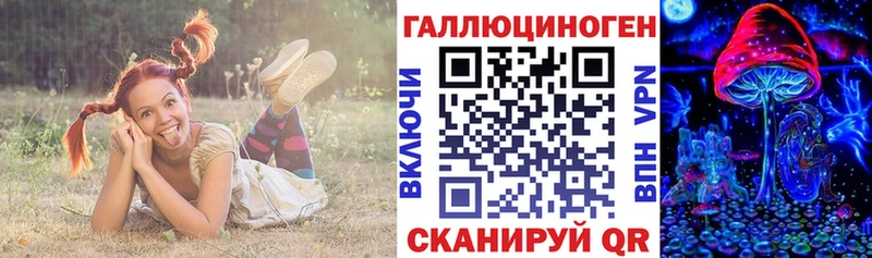 Псилоцибиновые грибы Psilocybine cubensis  Ирбит 