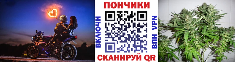где можно купить наркотик Ирбит Бошки Шишки сатива